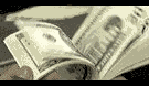 Symbol USD